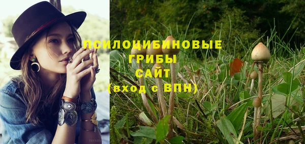 крисы Беломорск