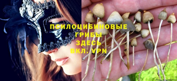 прущая мука Белоозёрский