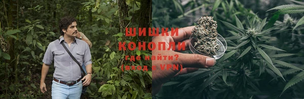 винт Белокуриха