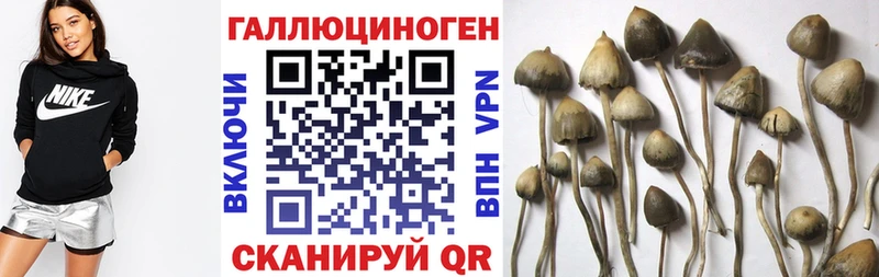 мориарти официальный сайт Бугульма Псилоцибиновые грибы мухоморы где купить